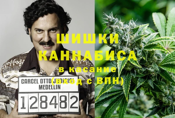 гидра Арсеньев