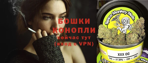 Альфа ПВП Аркадак