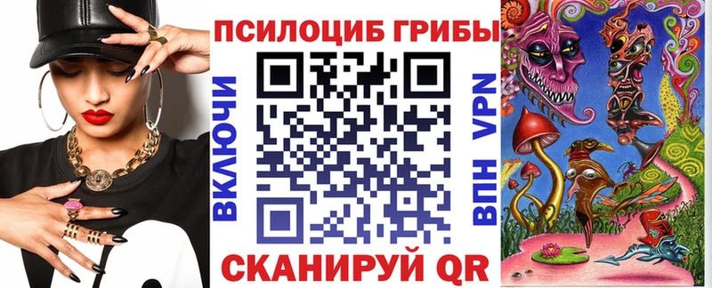 Псилоцибиновые грибы Cubensis Бавлы